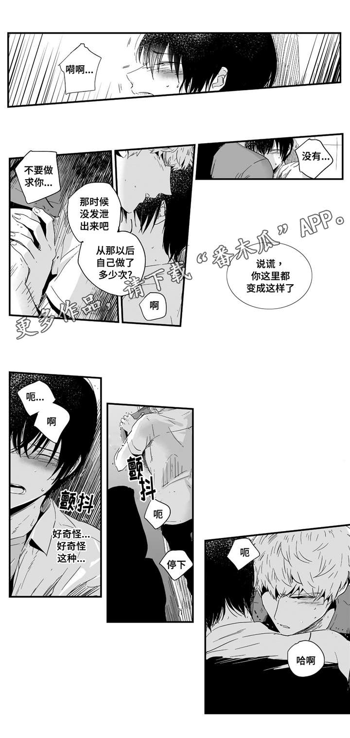 《目击过后》漫画最新章节第7章：领回家免费下拉式在线观看章节第【9】张图片