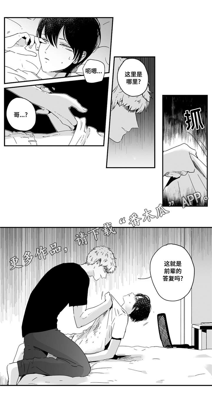 《目击过后》漫画最新章节第7章：领回家免费下拉式在线观看章节第【2】张图片