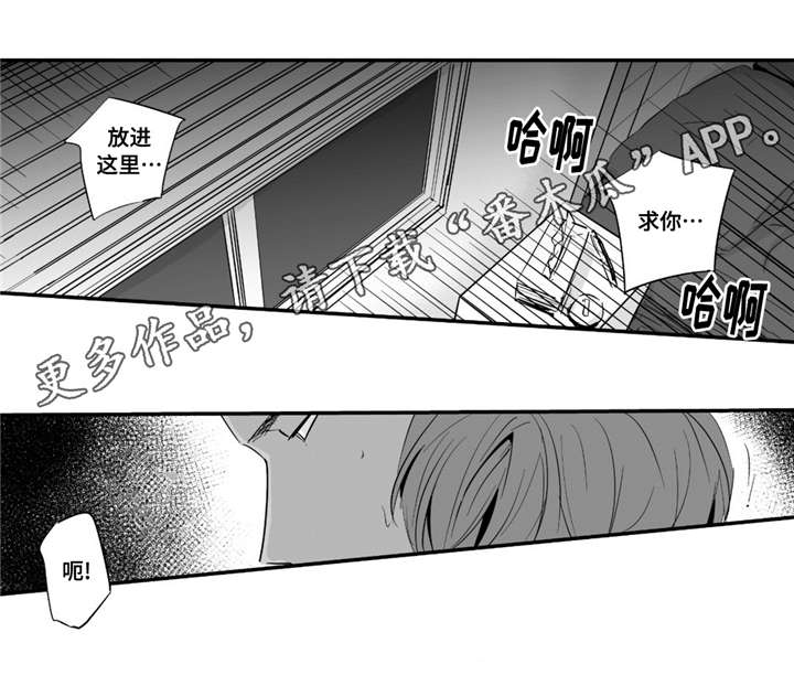 《目击过后》漫画最新章节第35章：像个傻瓜免费下拉式在线观看章节第【9】张图片