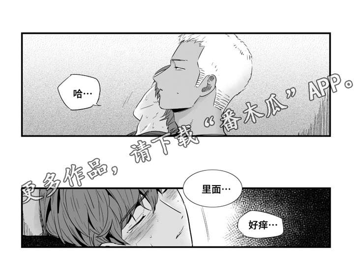 《目击过后》漫画最新章节第35章：像个傻瓜免费下拉式在线观看章节第【10】张图片