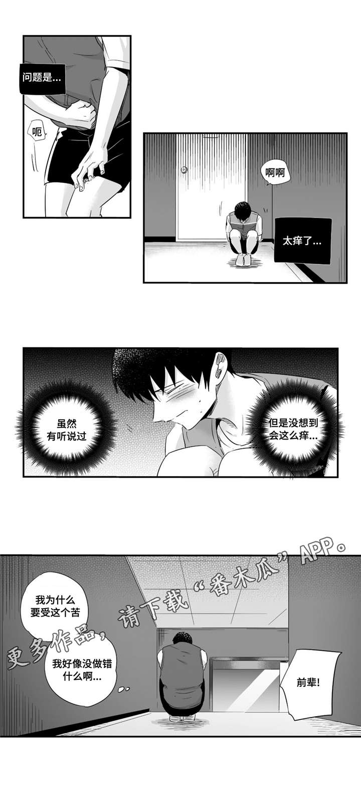 《目击过后》漫画最新章节第41章：答应我免费下拉式在线观看章节第【12】张图片