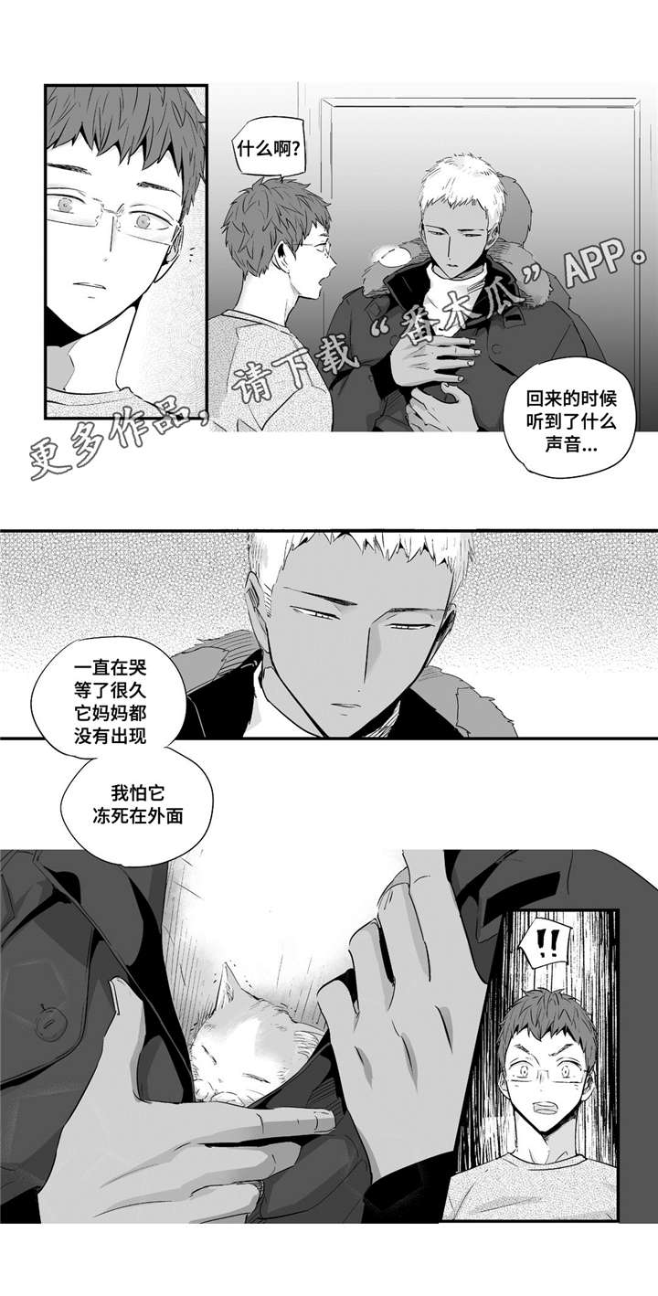 《目击过后》漫画最新章节第54章：爱心免费下拉式在线观看章节第【6】张图片