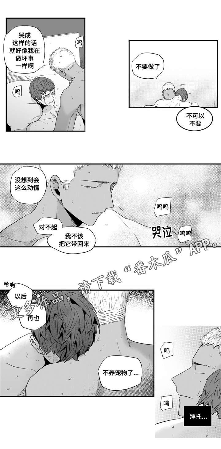 《目击过后》漫画最新章节第55章：给我机会免费下拉式在线观看章节第【3】张图片