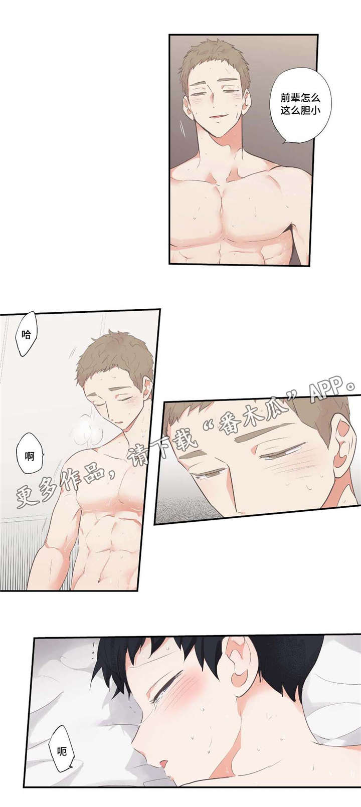 《目击过后》漫画最新章节第66章：太棒了免费下拉式在线观看章节第【3】张图片