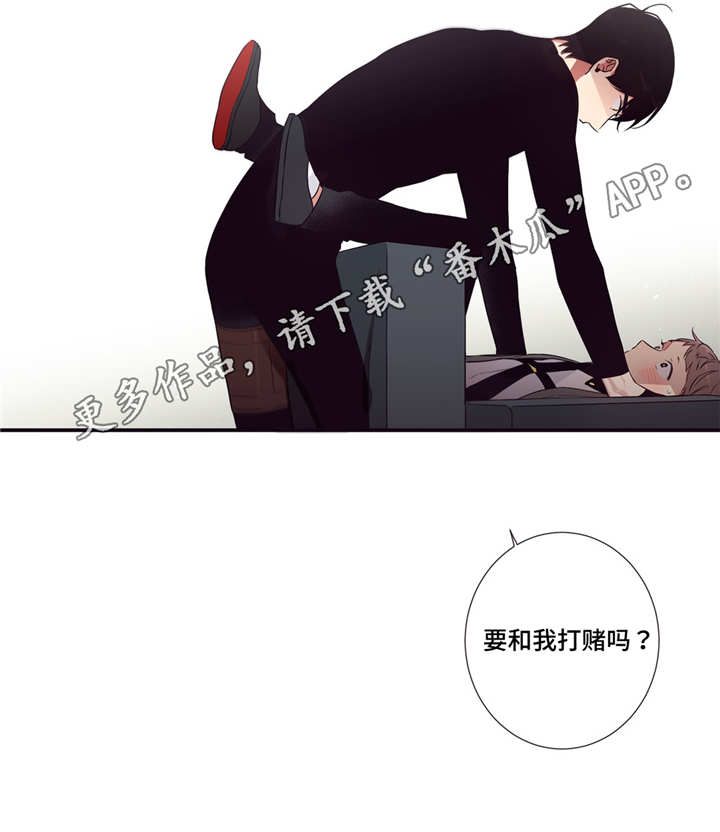 《第三人类》漫画最新章节第77章：要打赌吗免费下拉式在线观看章节第【1】张图片