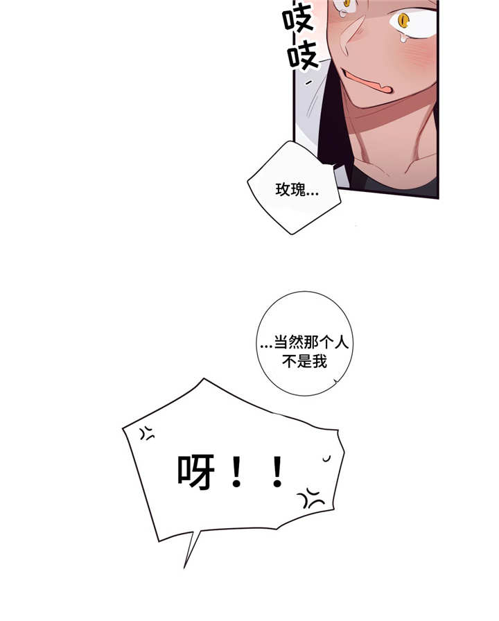 《第三人类》漫画最新章节第99章：终章免费下拉式在线观看章节第【13】张图片