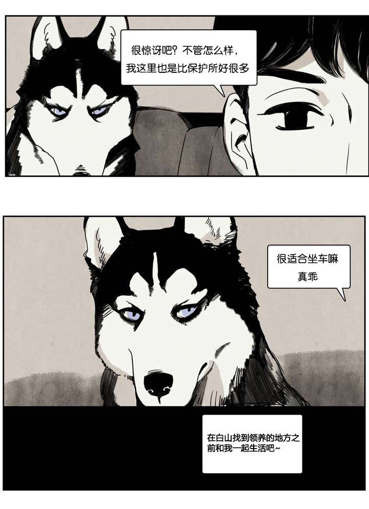 《入夜为人》漫画最新章节第1章：领狗记免费下拉式在线观看章节第【1】张图片