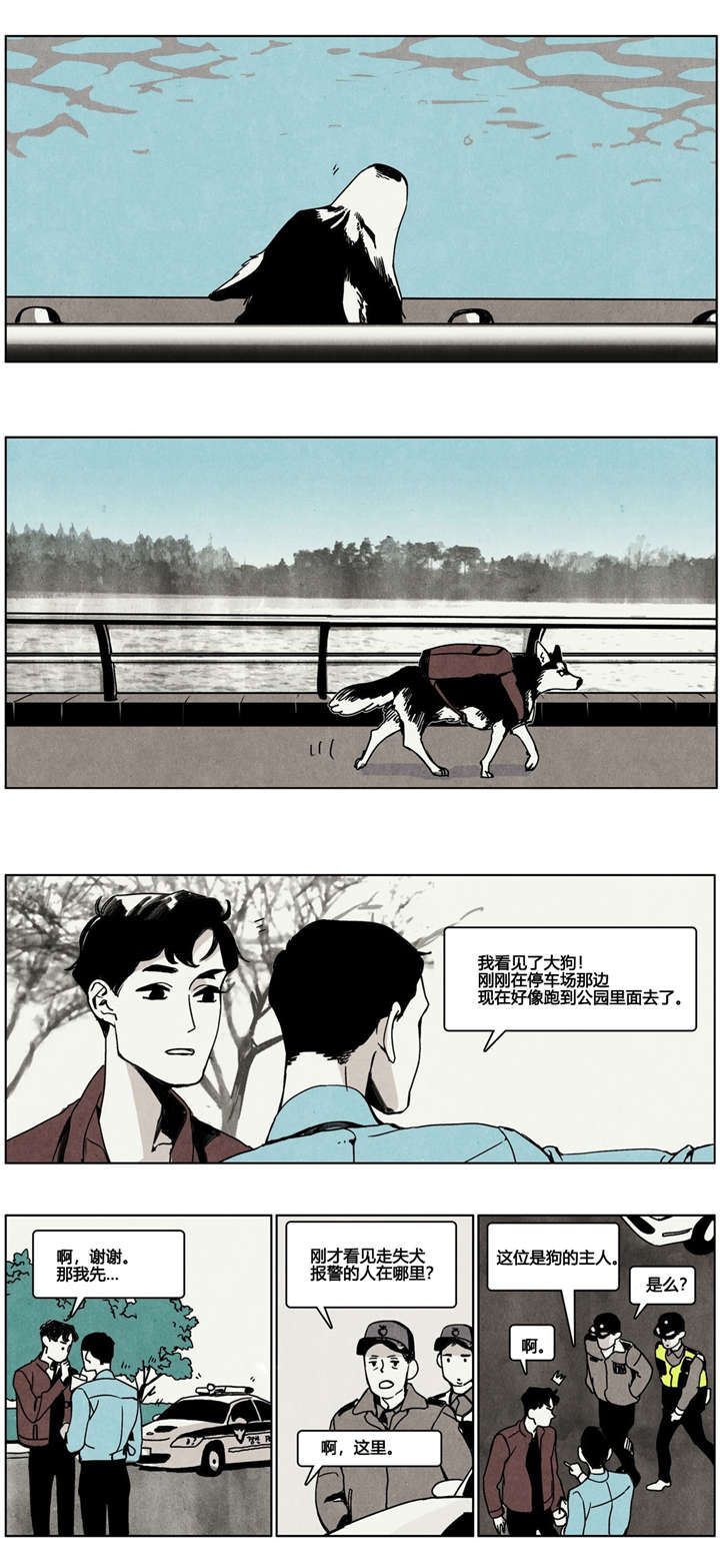 《入夜为人》漫画最新章节第5章：狗狗寻家记免费下拉式在线观看章节第【5】张图片