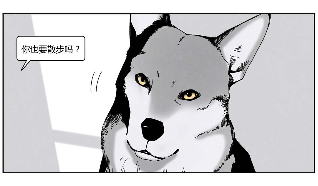 《入夜为人》漫画最新章节第49章：陌生的狗免费下拉式在线观看章节第【1】张图片