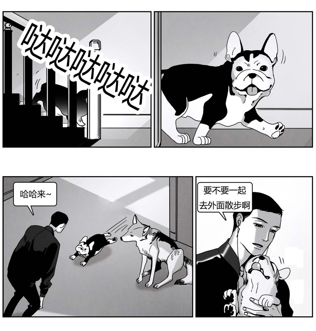 《入夜为人》漫画最新章节第49章：陌生的狗免费下拉式在线观看章节第【2】张图片
