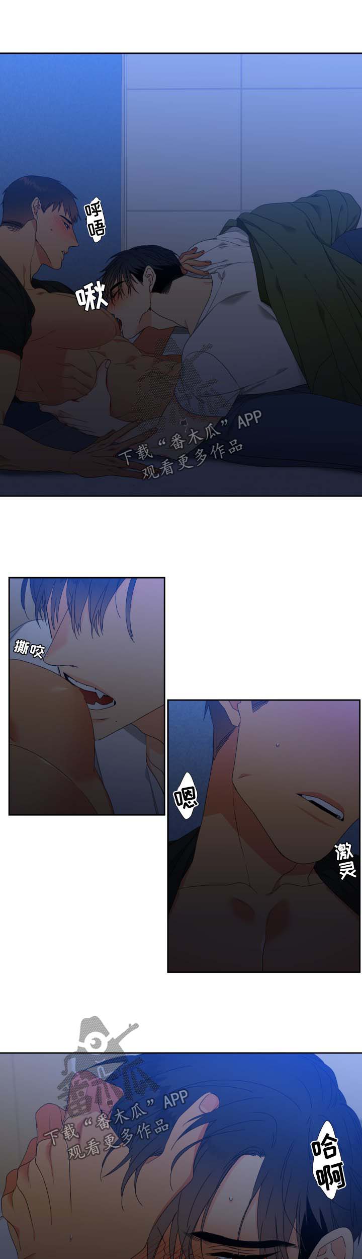 【狼的香气】漫画-（第117章：【第二季】不能有失误）章节漫画下拉式图片-第11张图片