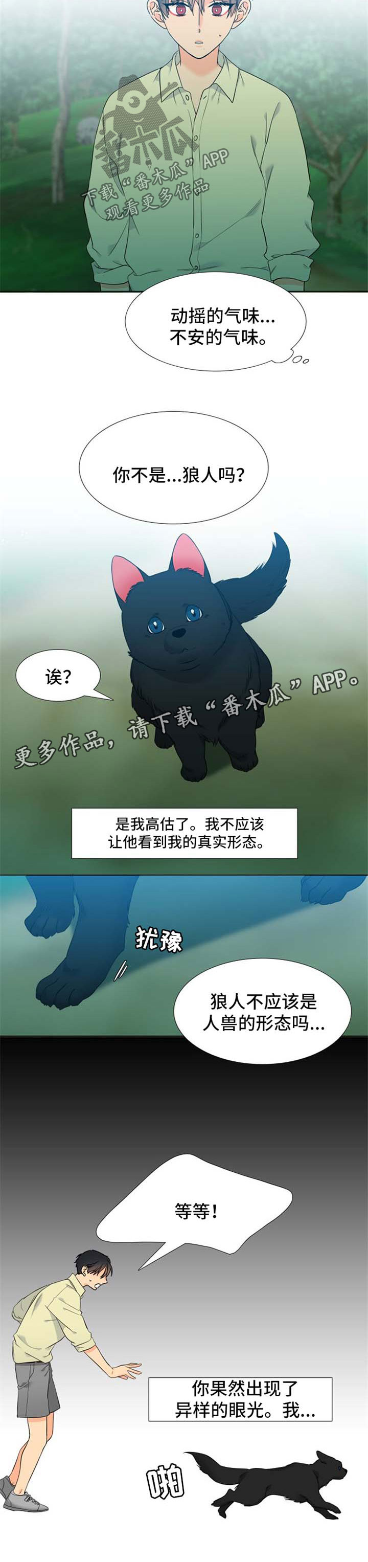 《狼的香气》漫画最新章节第209章：【第二季】不要过于沉浸免费下拉式在线观看章节第【4】张图片