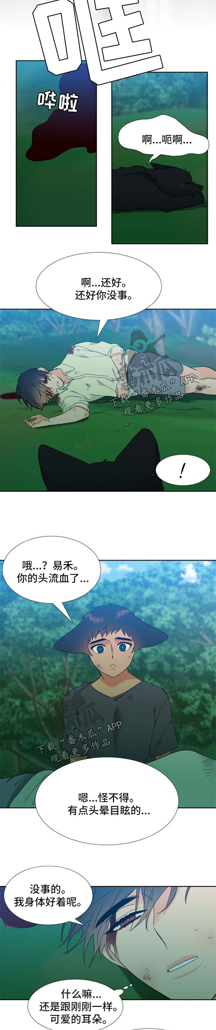 【狼的香气】漫画-（第210章：【第二季】期待重逢）章节漫画下拉式图片-5.jpg