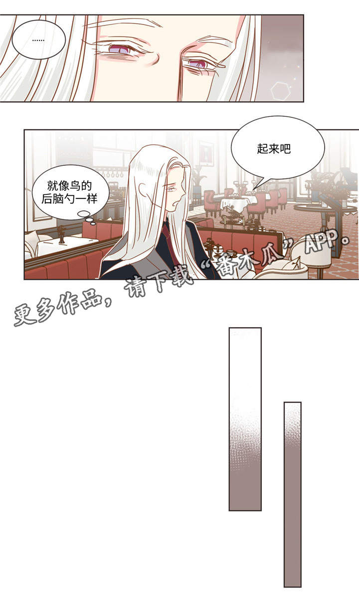 《蛇族烙印》漫画最新章节第60章：十个问题免费下拉式在线观看章节第【1】张图片