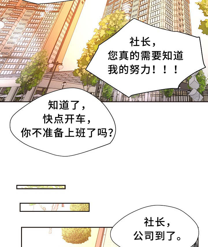 《升温》漫画最新章节第146章：会长免费下拉式在线观看章节第【13】张图片