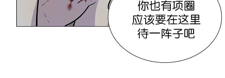 《旷野之息》漫画最新章节第3章：好好记着免费下拉式在线观看章节第【11】张图片