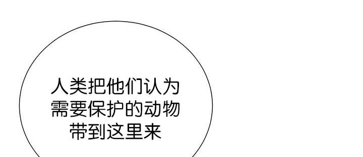 《旷野之息》漫画最新章节第3章：好好记着免费下拉式在线观看章节第【31】张图片