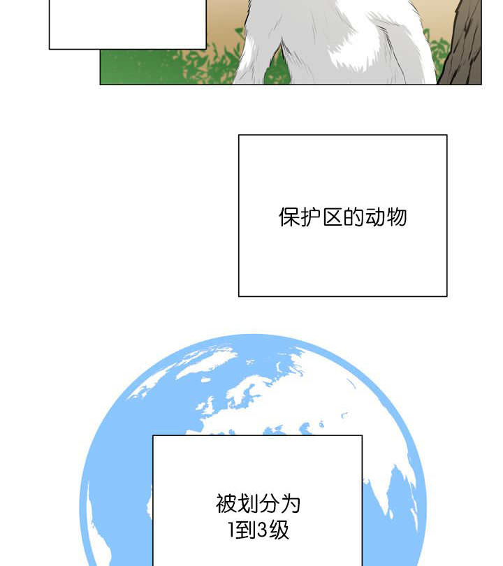 《旷野之息》漫画最新章节第11章：牺牲自由免费下拉式在线观看章节第【10】张图片