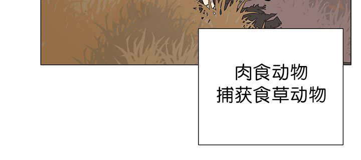 《旷野之息》漫画最新章节第11章：牺牲自由免费下拉式在线观看章节第【27】张图片