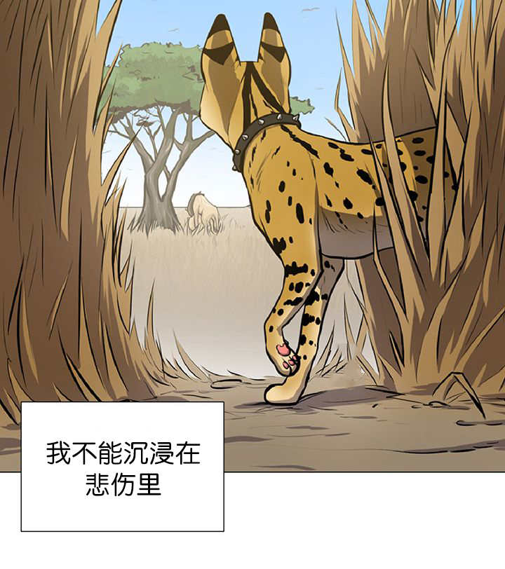 《旷野之息》漫画最新章节第11章：牺牲自由免费下拉式在线观看章节第【20】张图片