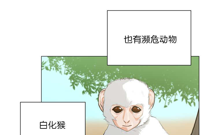 《旷野之息》漫画最新章节第11章：牺牲自由免费下拉式在线观看章节第【11】张图片