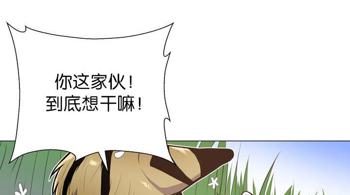 《旷野之息》漫画最新章节第12章：三天一次免费下拉式在线观看章节第【14】张图片