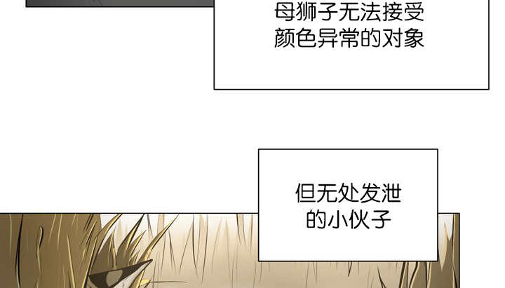 《旷野之息》漫画最新章节第12章：三天一次免费下拉式在线观看章节第【48】张图片