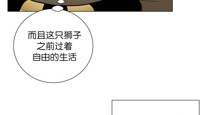 《旷野之息》漫画最新章节第13章：我们一起免费下拉式在线观看章节第【16】张图片