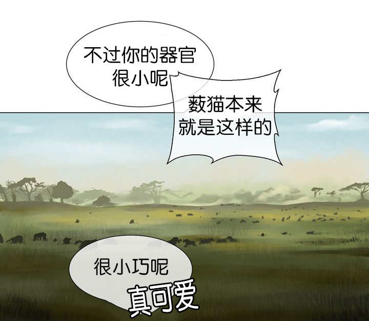 《旷野之息》漫画最新章节第13章：我们一起免费下拉式在线观看章节第【45】张图片