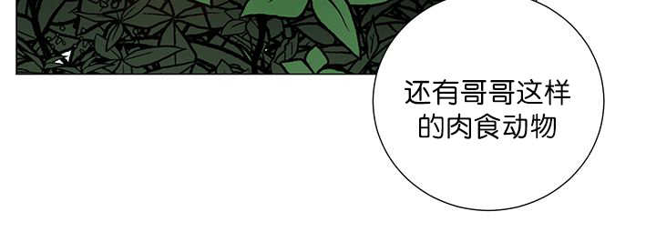 《旷野之息》漫画最新章节第19章：不会放过免费下拉式在线观看章节第【36】张图片