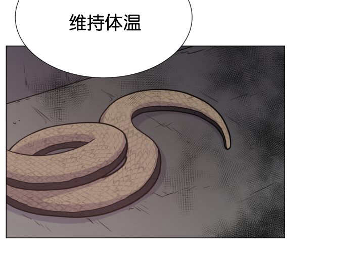 《旷野之息》漫画最新章节第35章：可以帮你免费下拉式在线观看章节第【8】张图片