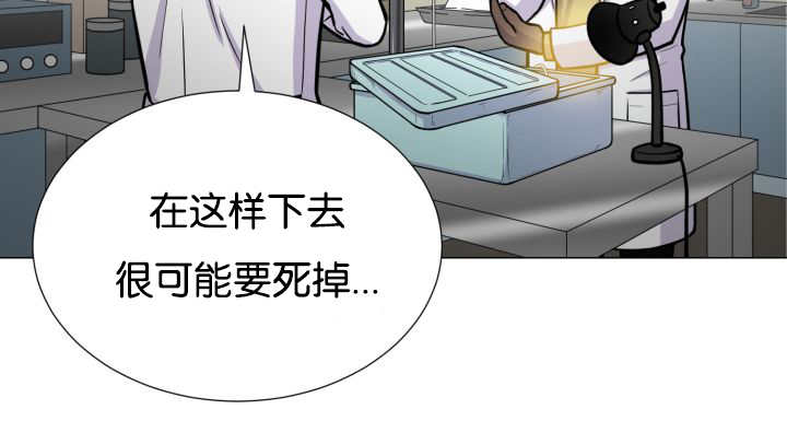 《旷野之息》漫画最新章节第36章：是爱情吗免费下拉式在线观看章节第【18】张图片