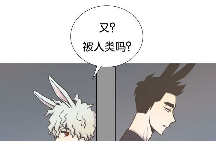 《旷野之息》漫画最新章节第36章：是爱情吗免费下拉式在线观看章节第【44】张图片