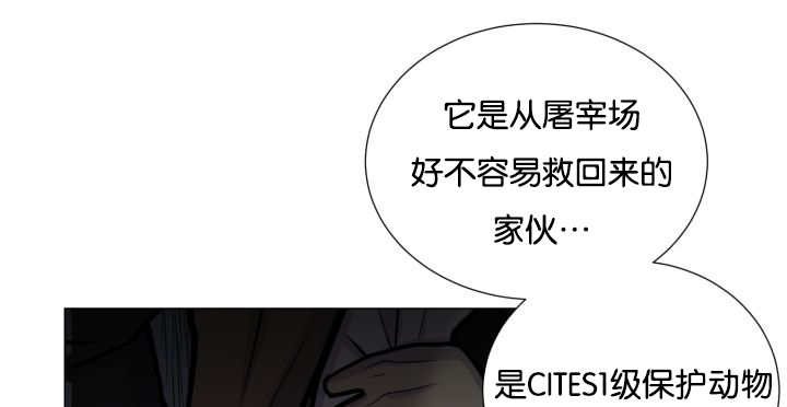 《旷野之息》漫画最新章节第36章：是爱情吗免费下拉式在线观看章节第【15】张图片