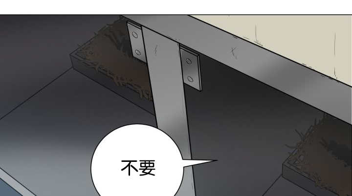 《旷野之息》漫画最新章节第37章：我喜欢他免费下拉式在线观看章节第【32】张图片