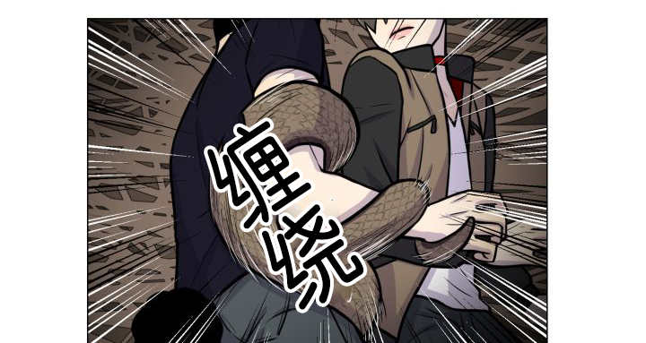 《旷野之息》漫画最新章节第37章：我喜欢他免费下拉式在线观看章节第【27】张图片