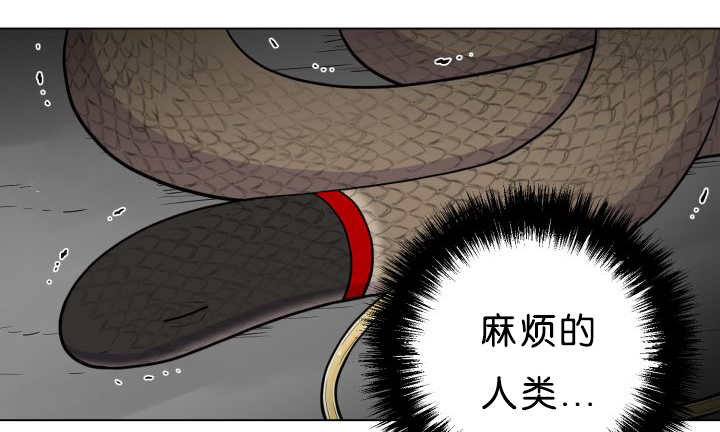 《旷野之息》漫画最新章节第39章：你还好吧免费下拉式在线观看章节第【36】张图片