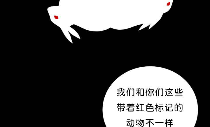 《旷野之息》漫画最新章节第39章：你还好吧免费下拉式在线观看章节第【65】张图片