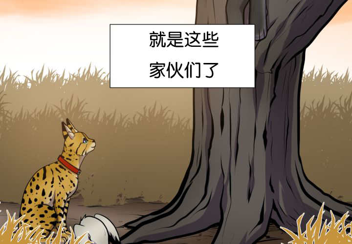 《旷野之息》漫画最新章节第44章：现在去哪免费下拉式在线观看章节第【45】张图片