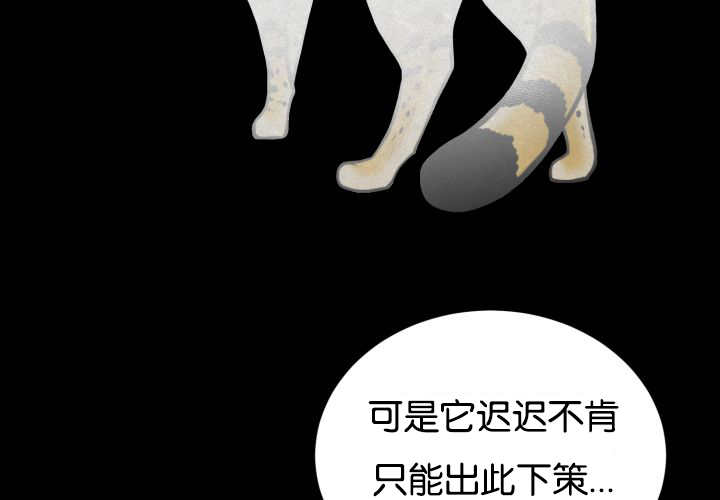 《旷野之息》漫画最新章节第48章：失去犬牙免费下拉式在线观看章节第【39】张图片