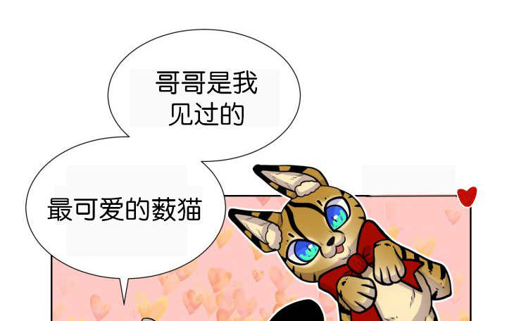 《旷野之息》漫画最新章节第52章：我警告你免费下拉式在线观看章节第【36】张图片