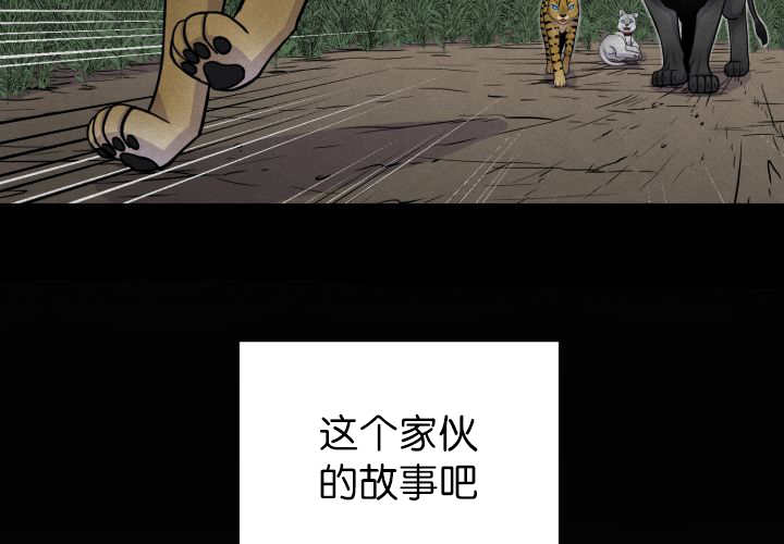 《旷野之息》漫画最新章节第53章：确认领地免费下拉式在线观看章节第【40】张图片