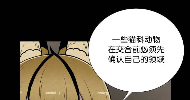 《旷野之息》漫画最新章节第58章：什么意义免费下拉式在线观看章节第【19】张图片