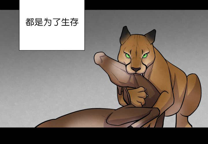 《旷野之息》漫画最新章节第58章：什么意义免费下拉式在线观看章节第【5】张图片