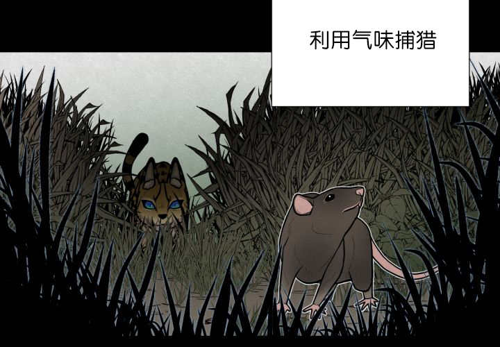 《旷野之息》漫画最新章节第58章：什么意义免费下拉式在线观看章节第【9】张图片