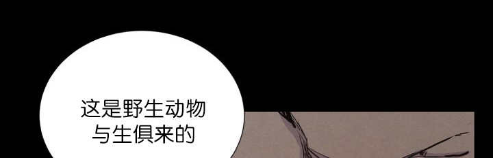 《旷野之息》漫画最新章节第59章：好像很大免费下拉式在线观看章节第【63】张图片