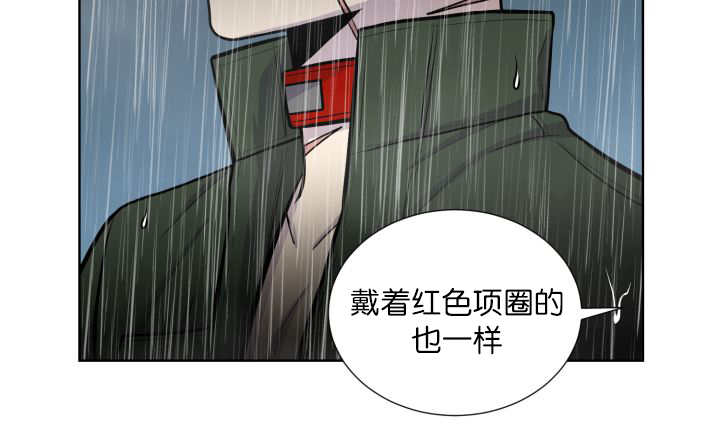 《旷野之息》漫画最新章节第61章：想清楚了免费下拉式在线观看章节第【56】张图片