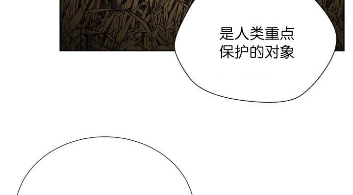 《旷野之息》漫画最新章节第64章：超无聊的免费下拉式在线观看章节第【22】张图片