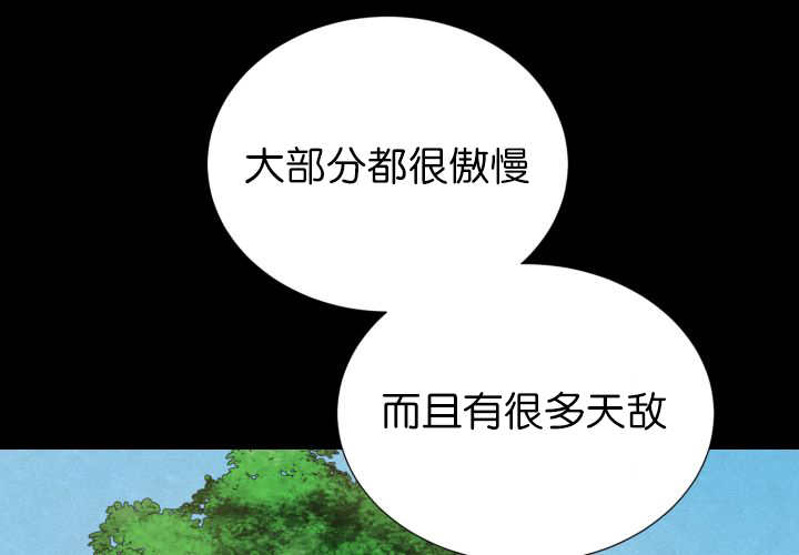 《旷野之息》漫画最新章节第73章：给我带路免费下拉式在线观看章节第【32】张图片