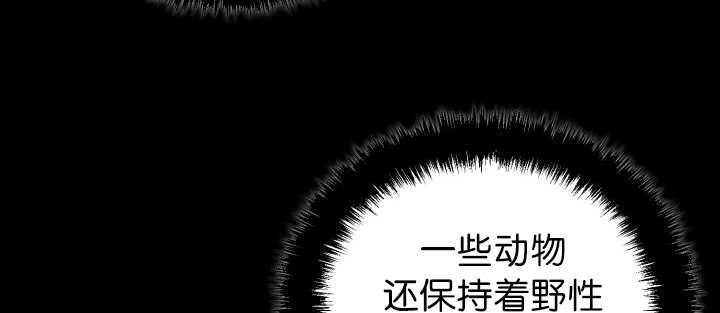 《旷野之息》漫画最新章节第78章：傲娇小熊猫免费下拉式在线观看章节第【9】张图片